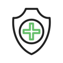 2480 - Shield